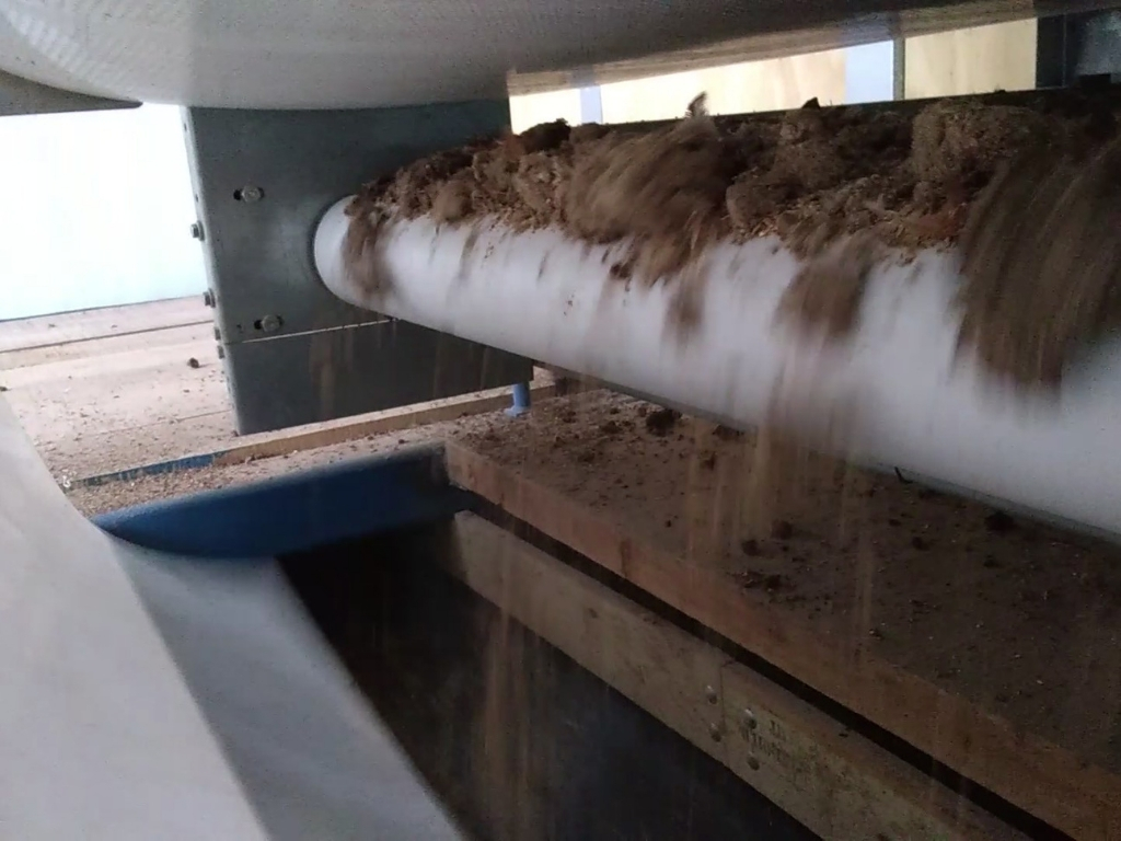Manure drops on the conveyor belt for transport out of the manure drying tunnel
